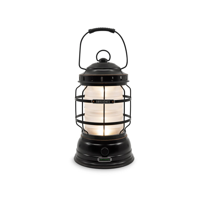 Barebones Forest Lantern - Antique Bronze