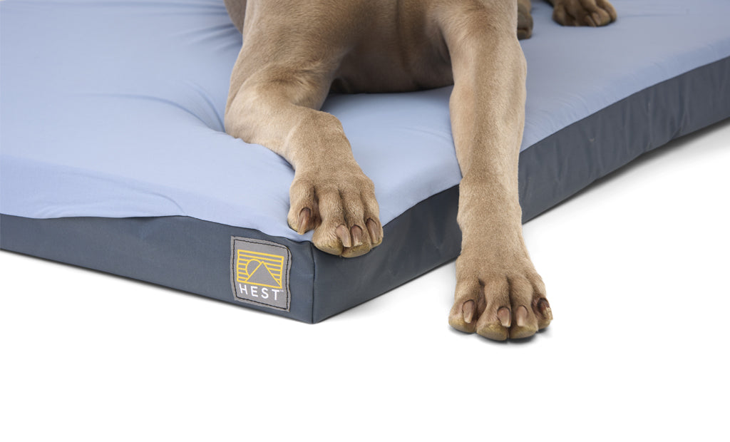 Hest Dog Bed