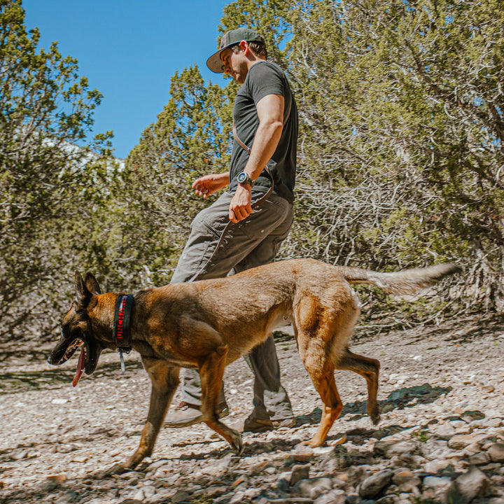 Uncharted Supply The Wolf Pack