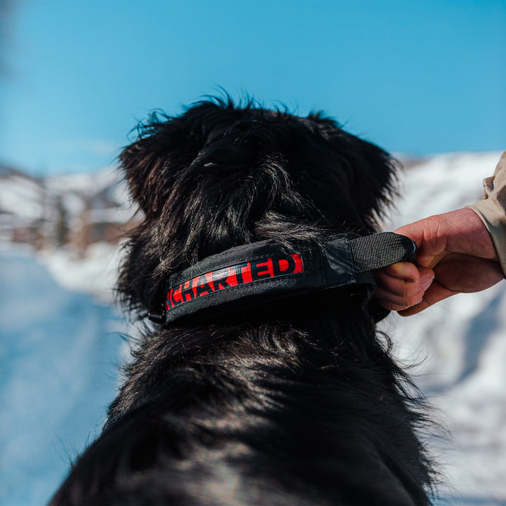 Uncharted Supply The Wolf Pack